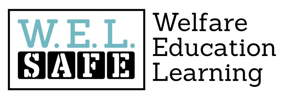 Fred Again.. Dublin | Welfare (Harm-Reduction) Volunteer