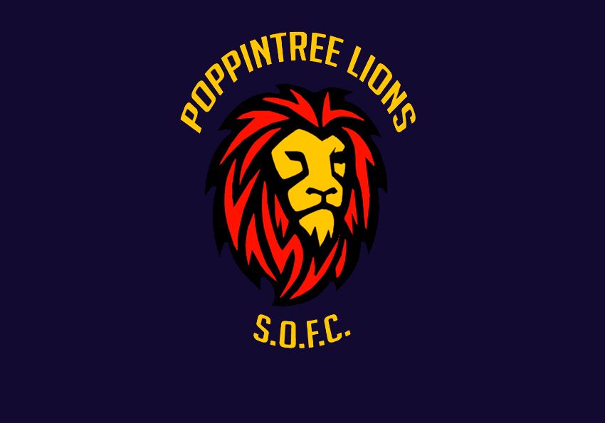 Coach for Poppintree Lions SO Football Club